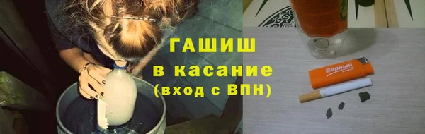шишки Осташков