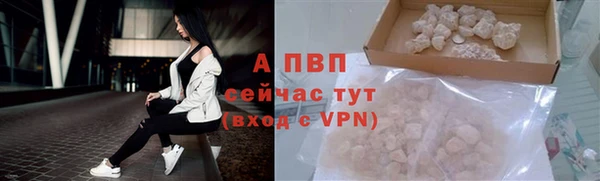 шишки Осташков