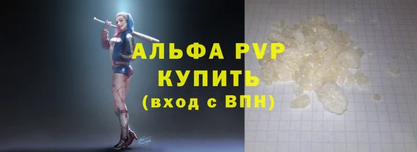 шишки Осташков