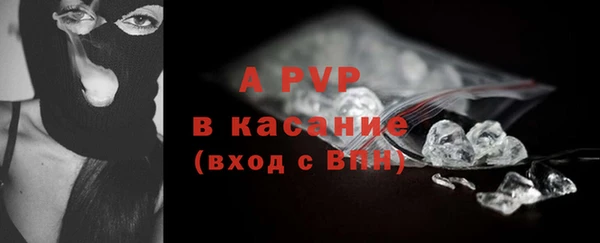 шишки Осташков