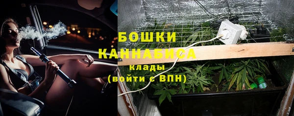 шишки Осташков