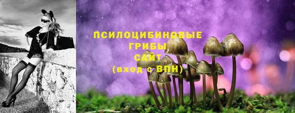 шишки Осташков