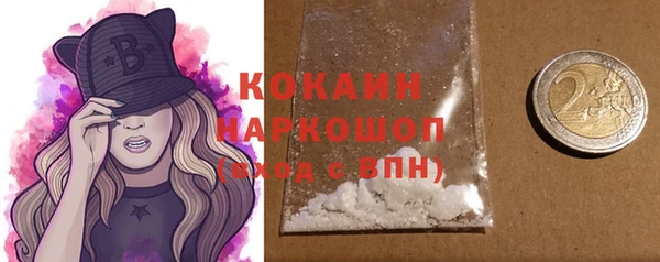 шишки Осташков