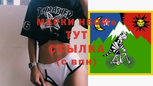 шишки Осташков