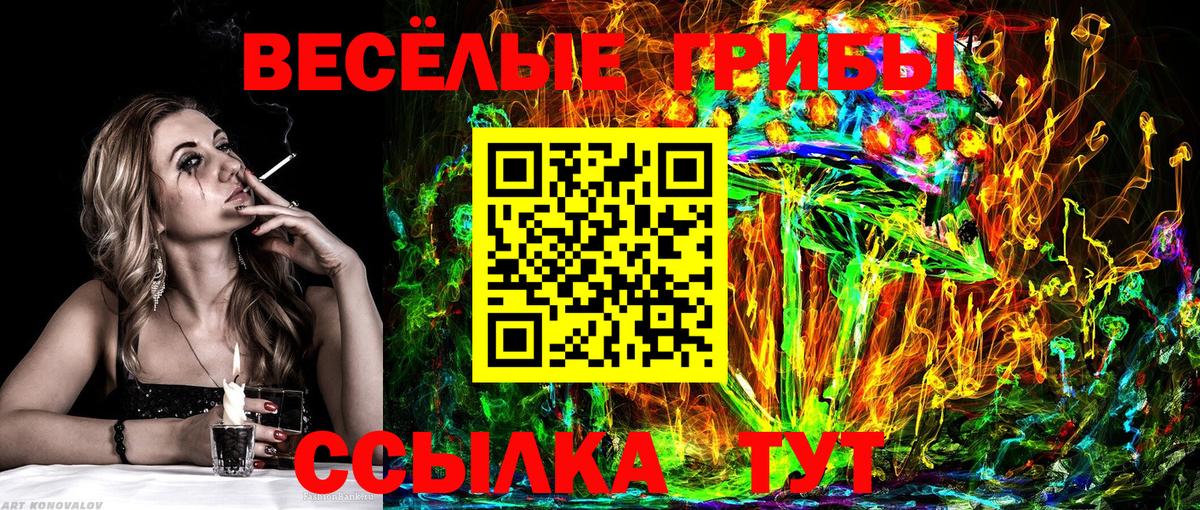 Псилоцибиновые грибы Cubensis  Вход с VPN  Рассказово 
